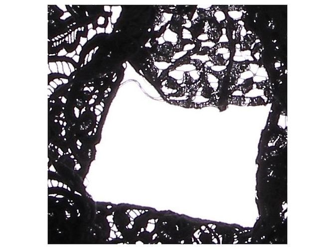 Autre Marque Falda de encaje negra SHARON WAUCHOB Negro - vista 6