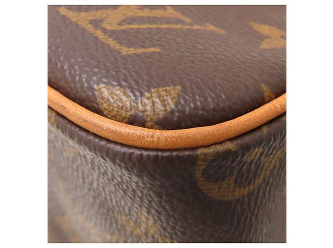 Louis Vuitton Brown Monogram Viva Cite MM Marrone - vista 14