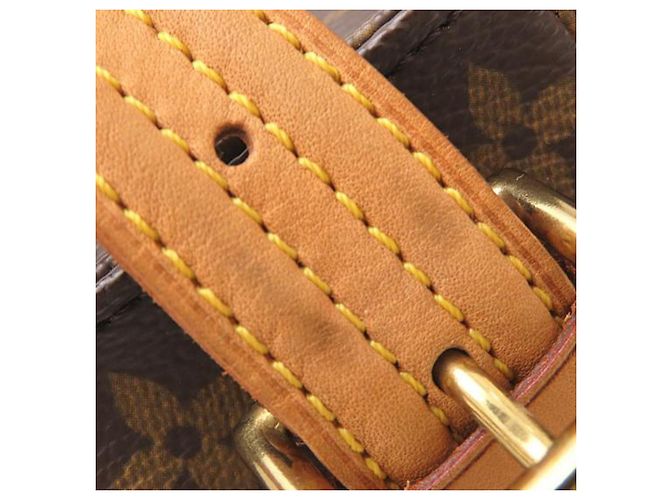 Louis Vuitton Brown Monogram Viva Cite MM Marrone - vista 15