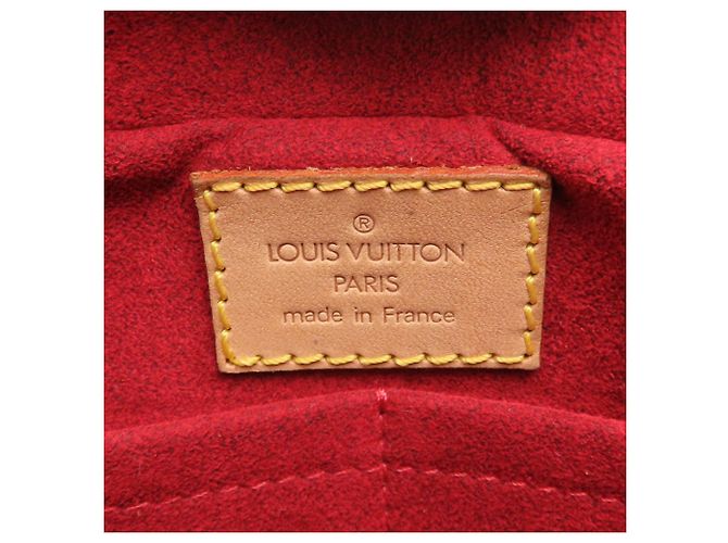 Louis Vuitton Brown Monogram Viva Cite MM Marrone - vista 6