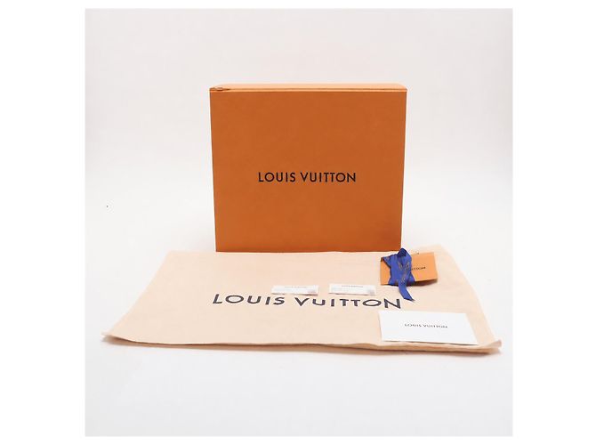 Louis Vuitton Borsa a tracolla Trunkie East West Canvas Flap Monogram Marrone - vista 10