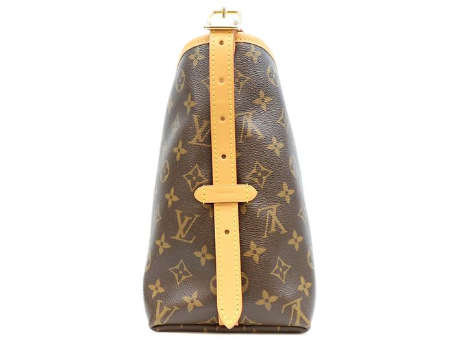 Borsa a tracolla Louis Vuitton Monogram Carryall NM PM Marrone - vista 2