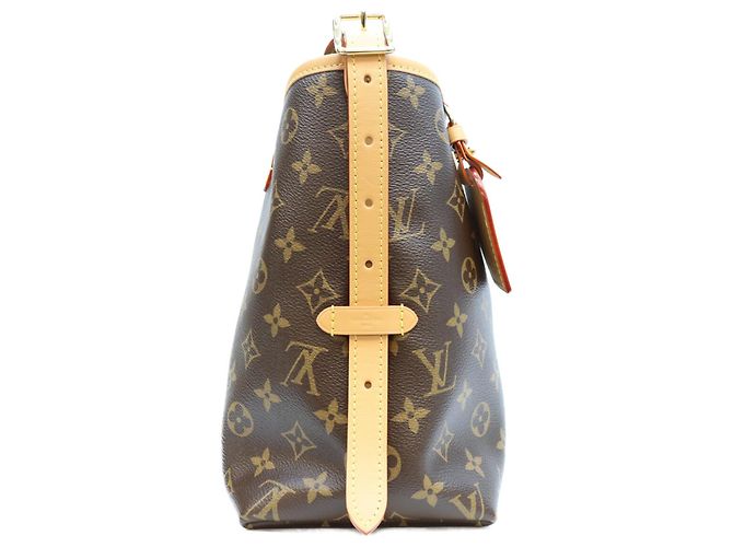 Borsa a tracolla Louis Vuitton Monogram Carryall NM PM Marrone - vista 4