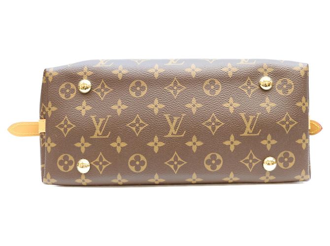 Borsa a tracolla Louis Vuitton Monogram Carryall NM PM Marrone - vista 5