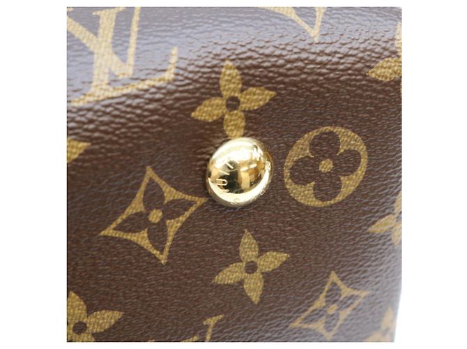 Borsa a tracolla Louis Vuitton Monogram Carryall NM PM Marrone - vista 7