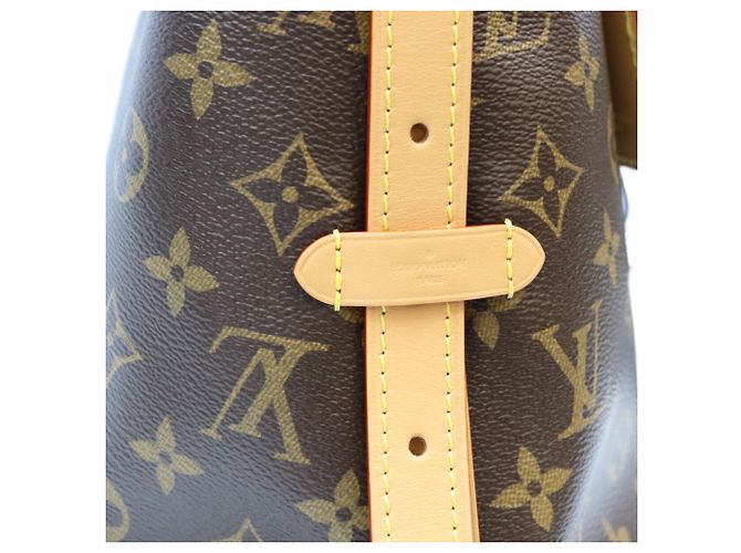 Borsa a tracolla Louis Vuitton Monogram Carryall NM PM Marrone - vista 9