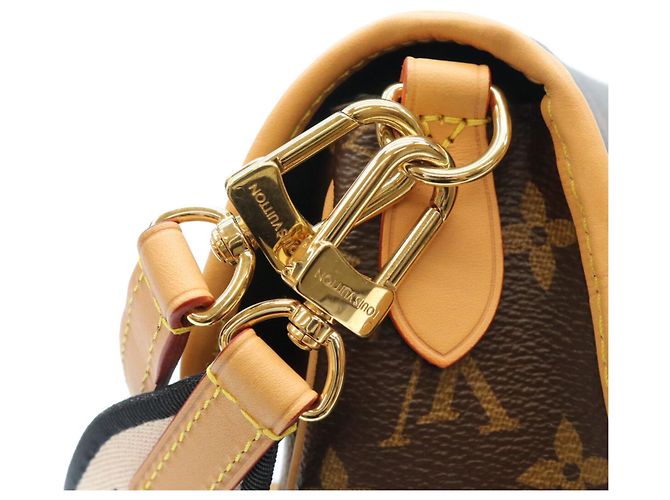 Borsa a tracolla Louis Vuitton Monogram Noir Diane NM PM Marrone - vista 10
