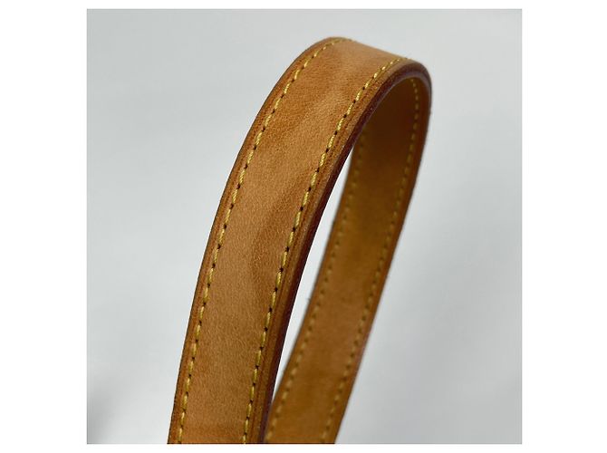 Bolso de hombro Louis Vuitton Odeon PM Castaño Monograma - vista 6