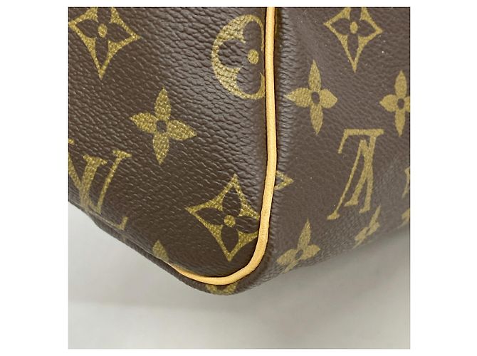 Bolso Louis Vuitton Monogram Speedy 30 Castaño - vista 11