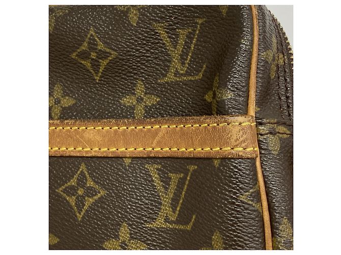 Borsa a tracolla Louis Vuitton Monogram Danube Marrone - vista 8