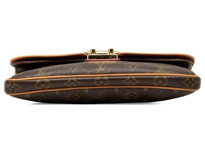 Clutch Slim Sofia Coppola Monogram Marrone Louis Vuitton - vista 3