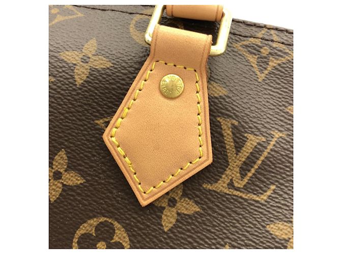 Borsa Boston Louis Vuitton Monogram Speedy Bandoulière Marrone - vista 6
