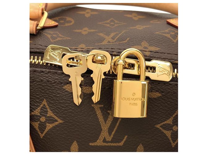 Borsa Boston Louis Vuitton Monogram Speedy Bandoulière Marrone - vista 4