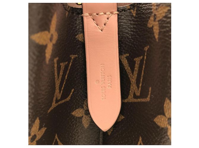 Néonoé Borsa a tracolla Louis Vuitton Monogram Neo Noe MM Marrone - vista 6