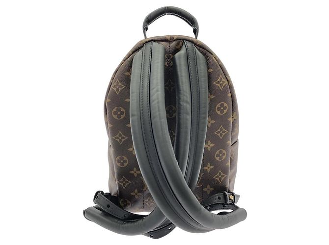 Zaino Louis Vuitton Monogram Palm Springs PM Marrone - vista 2