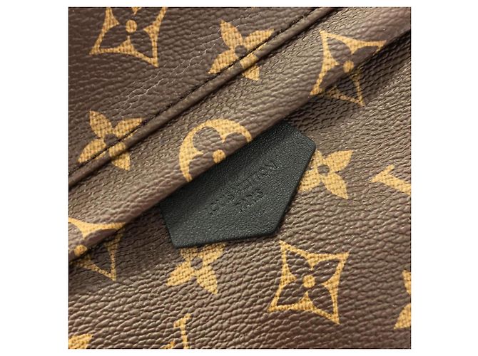 Zaino Louis Vuitton Monogram Palm Springs PM Marrone - vista 5