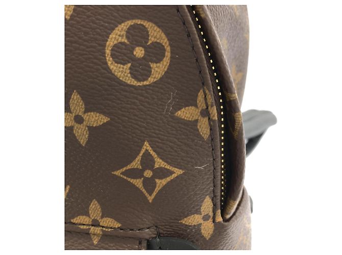 Zaino Louis Vuitton Monogram Palm Springs PM Marrone - vista 8