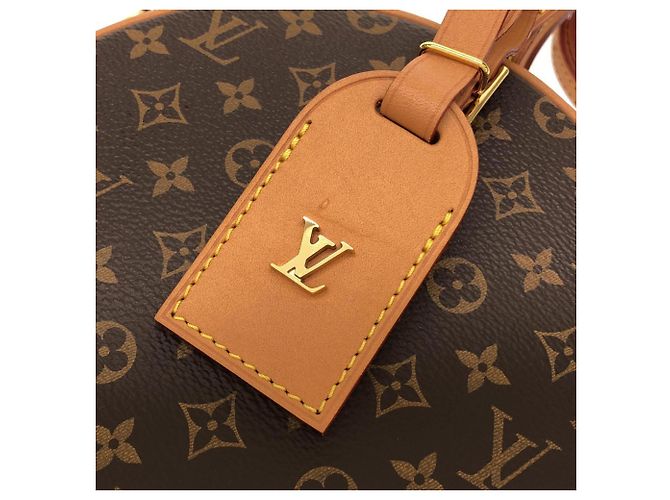 Borsa Louis Vuitton Monogram Petite Boite Chapeau Marrone - vista 4