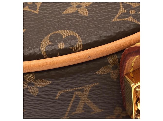Borsa Louis Vuitton Monogram Petite Boite Chapeau Marrone - vista 5