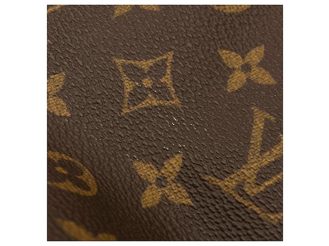 Borsa Louis Vuitton Monogram Kalahari PM Marrone - vista 6