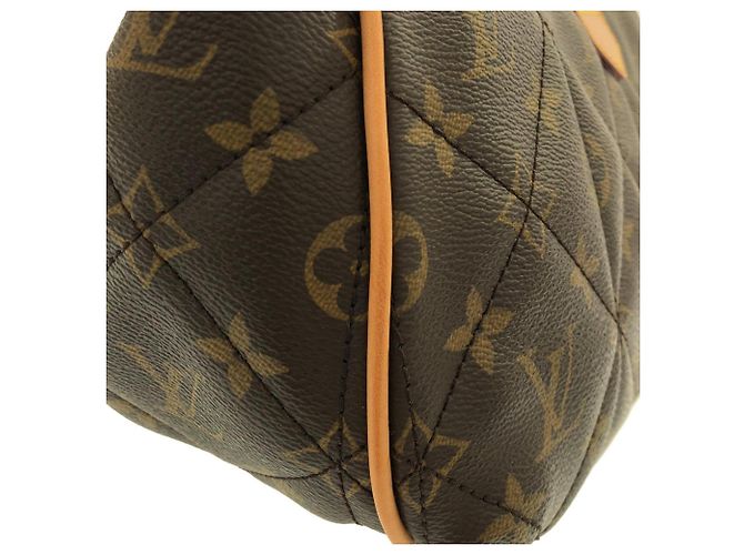 Borsa Louis Vuitton Monogram Etoile City PM Marrone - vista 7