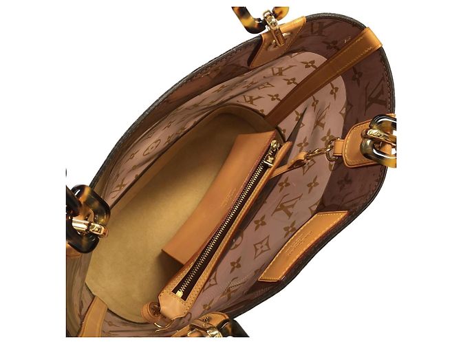 Borsa Louis Vuitton Cabas Ambre PM Marrone - vista 8
