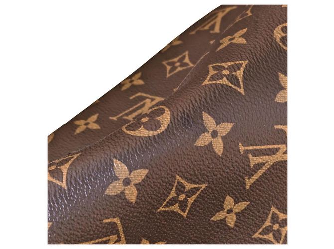 Néonoé Borsa a tracolla Louis Vuitton Monogram NeoNoe Marrone Rosso Monogramma - vista 23