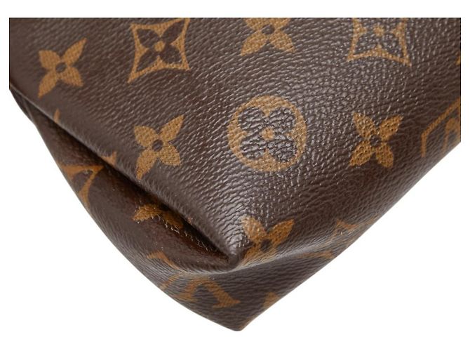 Borsa a mano con catena Louis Vuitton Monogram Pallas Clutch Marrone Rosso Fuschia Monogramma - vista 7