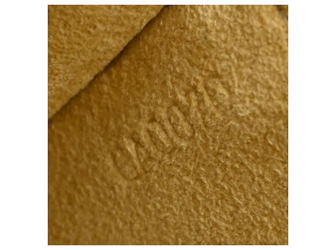 Louis Vuitton Twin Monogram Canvas PM Marrone - vista 5