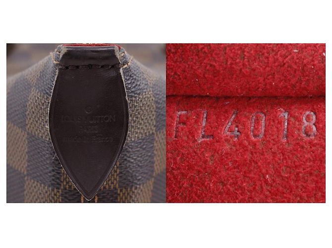 Louis Vuitton Saleya Damier MM Marrone - vista 5