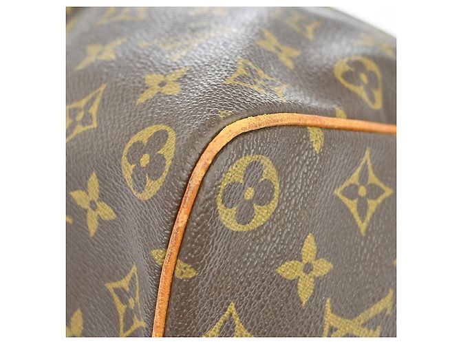 Louis Vuitton Speedy Monogram Canvas 40 Marrone - vista 7