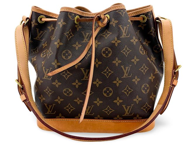 Louis Vuitton Noe Monogram Canvas PM Marrone - vista 2