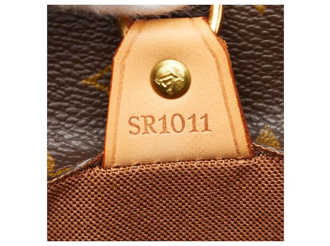 Borsa Tote Louis Vuitton Monogram Vavin GM Marrone - vista 10