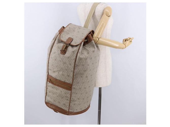 Borsa a tracolla Christian Dior Honeycomb Canvas PVC Beige Auth 191990 - vista 23