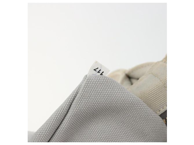 Bolso de mano PRADA Canapa PM Canvas 2way Gris Oro Auth bs36595 Castaño Dorado - vista 10
