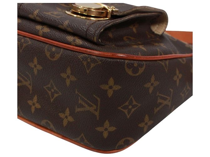 Borsa a tracolla Louis Vuitton Monogram Hudson GM Marrone Monogramma - vista 5