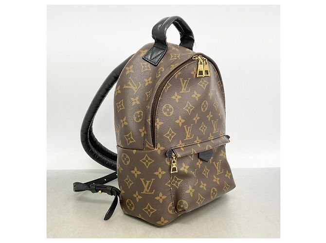 Zaino Louis Vuitton Monogram Palm Springs PM Marrone - vista 2