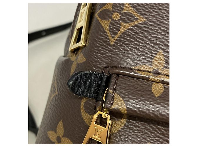 Zaino Louis Vuitton Monogram Palm Springs PM Marrone - vista 8