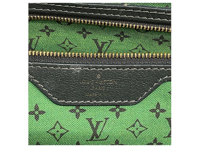 Borsa Tote Louis Vuitton Aiol Cabas PM Verde - vista 5
