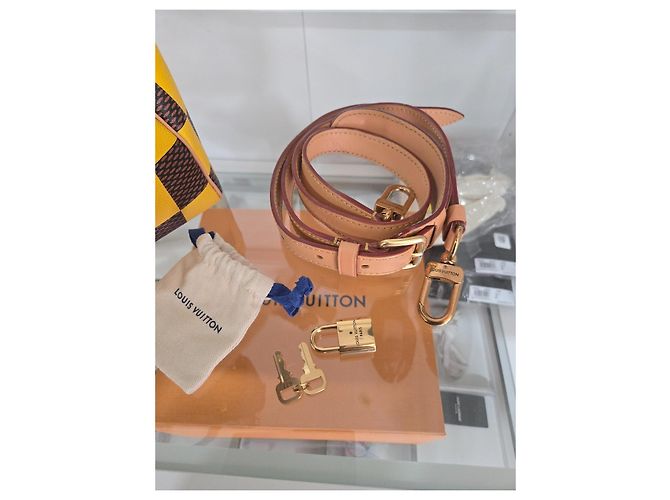 Louis Vuitton Speedy Bandouliere 25 Damier Azur Yellow Marrone Giallo - vista 5