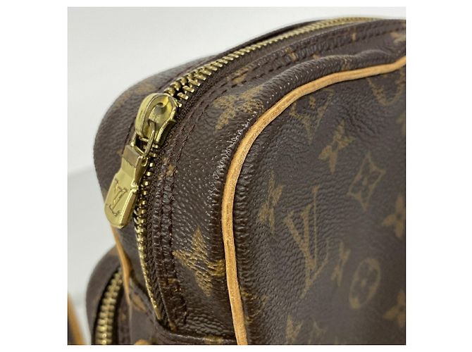 Louis Vuitton Monogram Amazon Shoulder Bag M45236 Marrone - vista 7