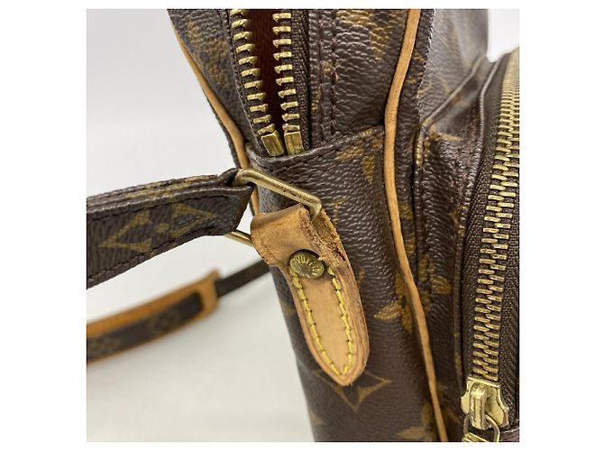 Louis Vuitton Monogram Amazon Shoulder Bag M45236 Marrone - vista 8