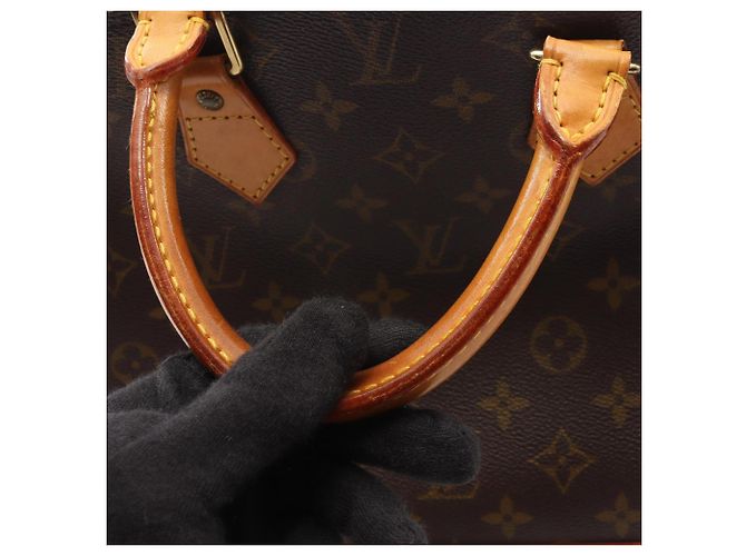Borsa a mano Louis Vuitton Alma PM Monogram Marrone - vista 12