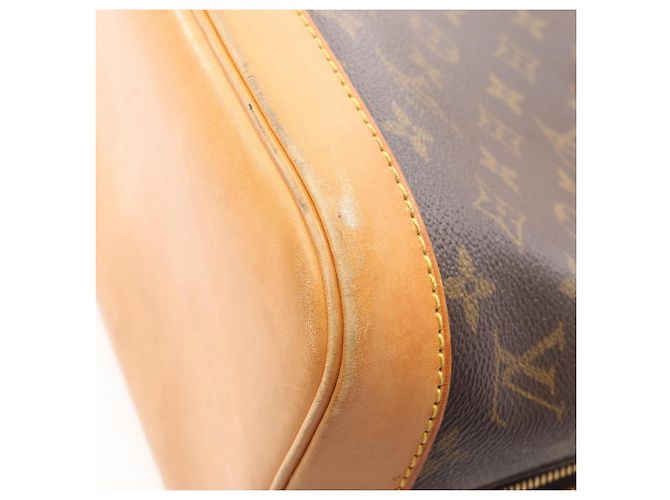 Borsa a mano Louis Vuitton Alma PM Monogram Marrone - vista 8