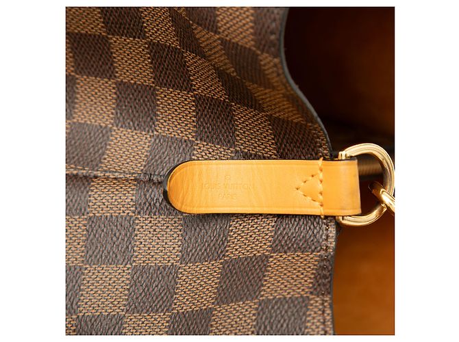 Néonoé Louis Vuitton Brown Damier Ebene Neonoe MM Marrone - vista 5
