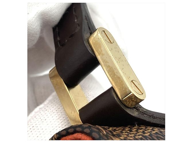 Borsa a tracolla Louis Vuitton Recoleta Marrone - vista 8