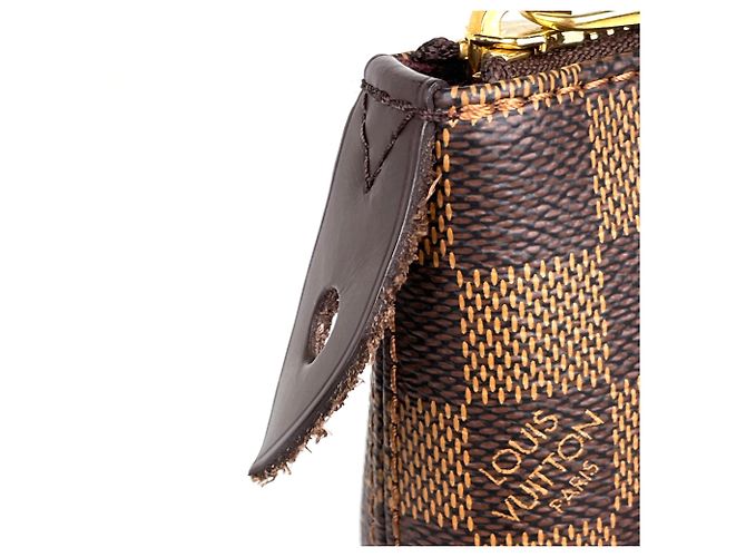 Borsa Tote Louis Vuitton Iena PM Marrone - vista 4