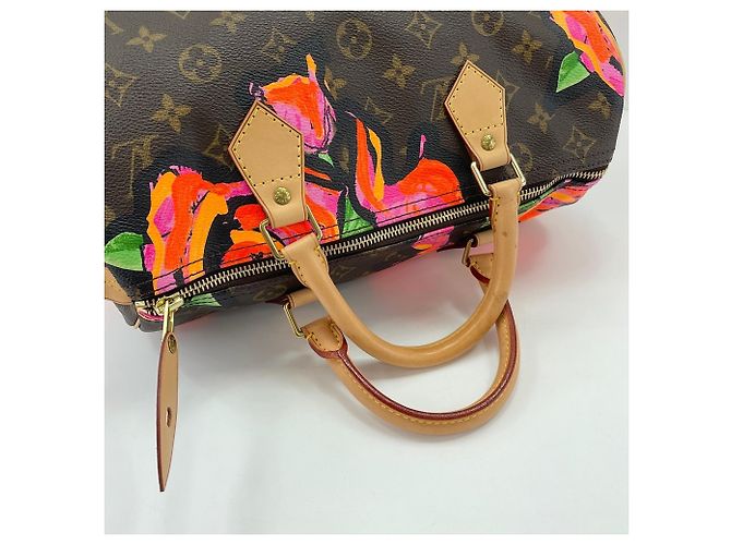 Bolso Louis Vuitton Speedy 30 Castaño - vista 10