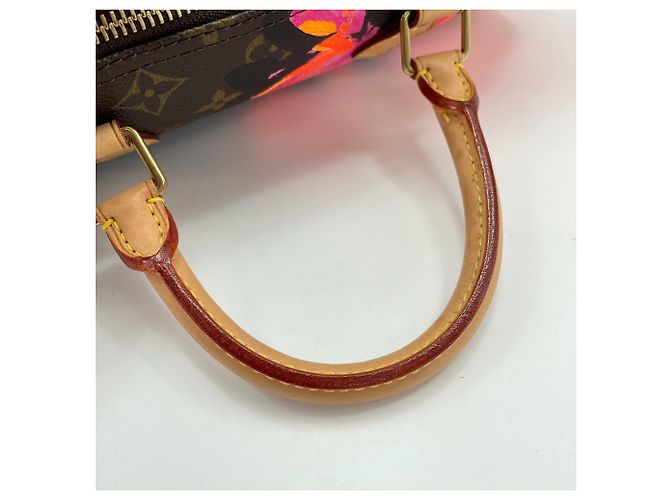 Bolso Louis Vuitton Speedy 30 Castaño - vista 12