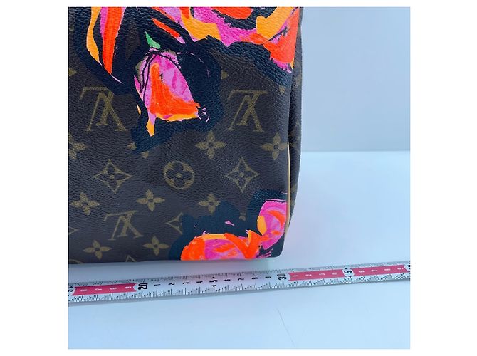 Bolso Louis Vuitton Speedy 30 Castaño - vista 4